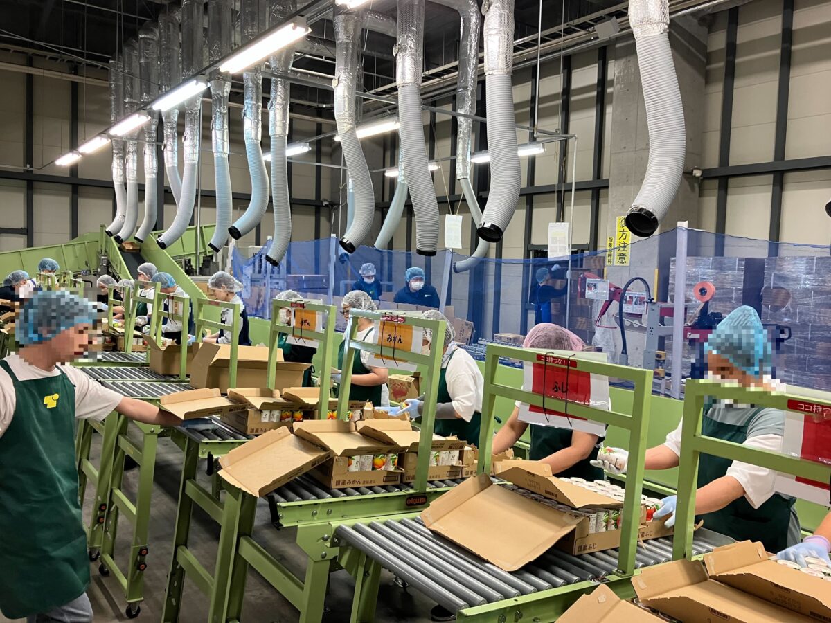 書道用品の梱包作業